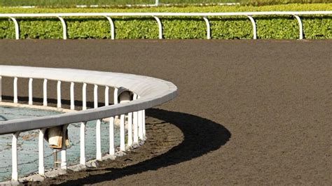 Master Ante Post Betting in Sports .